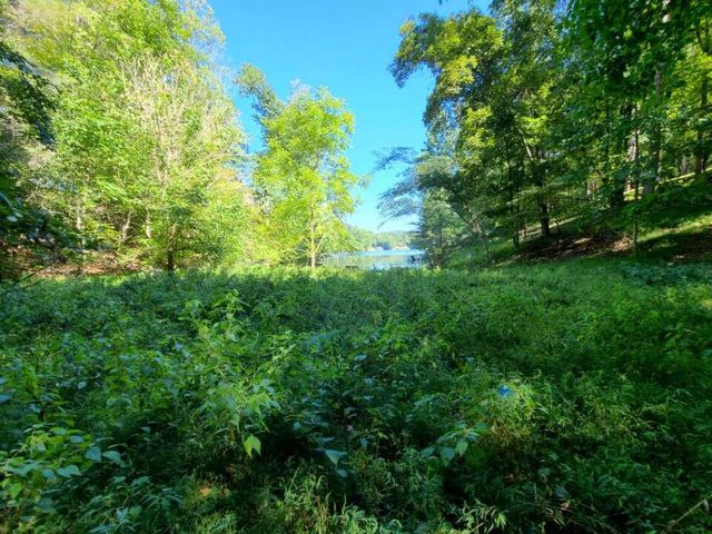 Lot 14 Hickory PL, Hardy, VA 24101
