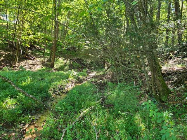 Lot 14 Hickory PL, Hardy, VA 24101