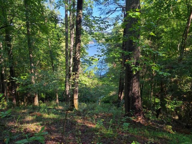 Lot 14 Hickory PL, Hardy, VA 24101