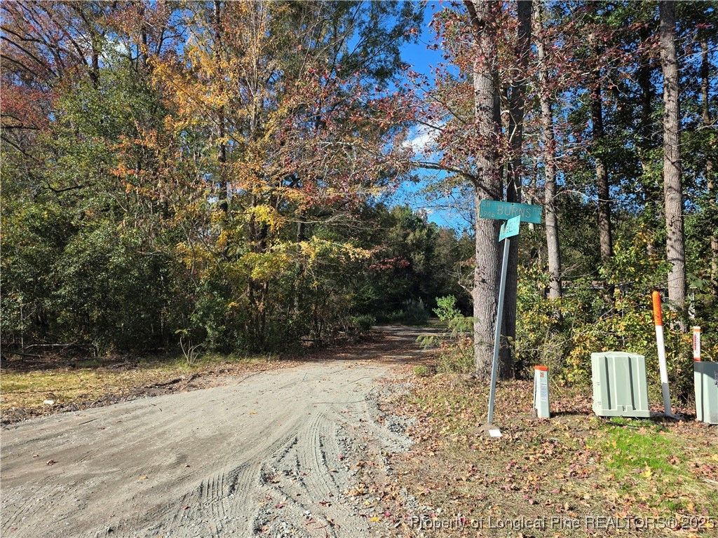409 Burns Road, Lumberton, NC 28358 — photo 6