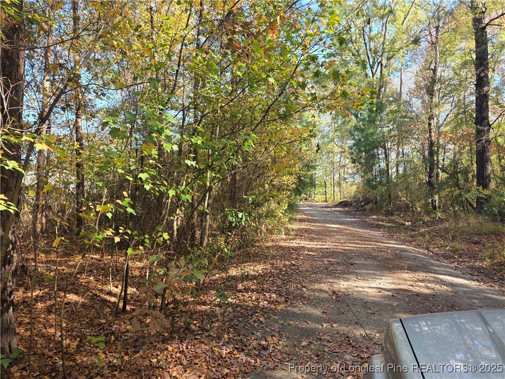 409 Burns Road, Lumberton, NC 28358 — photo 8
