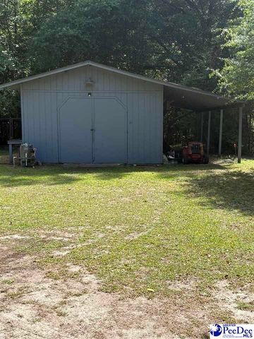 111 Brittain Rd., Darlington, SC 29532