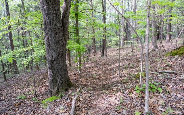 675 Hog Back Ridge Rd, Bethpage, TN 37022