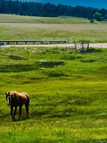 16835 E Goshawk Road, Colorado Springs, CO 80908