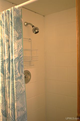 24411 Upper Point Mills Road, Hancock, MI 49930