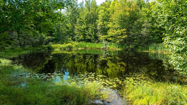 24411 Upper Point Mills Road, Hancock, MI 49930