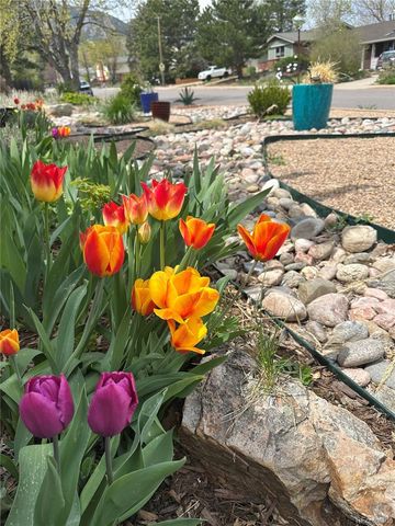 3210 Darley Avenue, Boulder, CO 80305