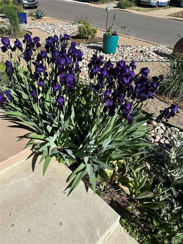 3210 Darley Avenue, Boulder, CO 80305