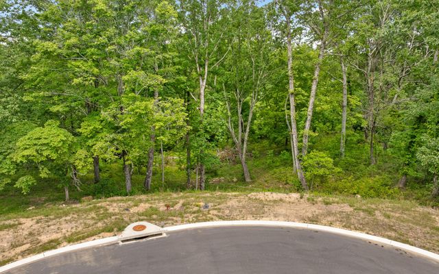 1805 Sawyer Farms Lane, Signal Mountain, TN 37377