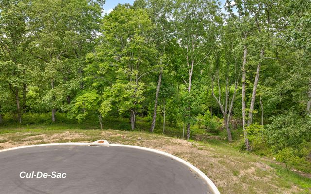 1805 Sawyer Farms Lane, Signal Mountain, TN 37377