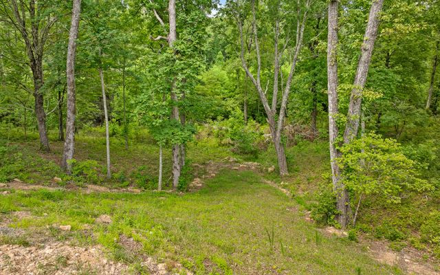 1805 Sawyer Farms Lane, Signal Mountain, TN 37377