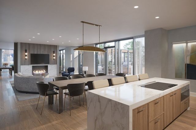 380 Harrison Avenue PH1G, Boston, MA 02118