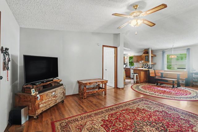 131 Holiday Acres Dr, Springville, TN 38256