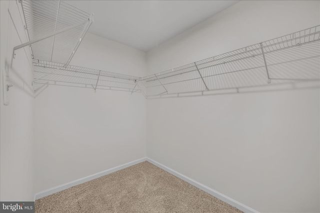 338 SALIDA TRL, Martinsburg, WV 25403