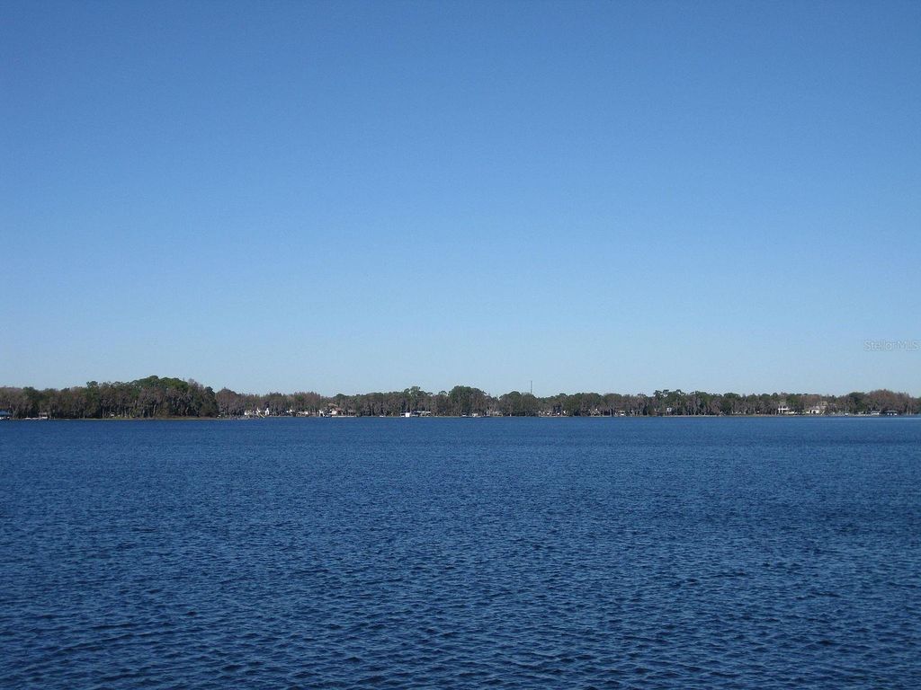 18618 WAYNE ROAD, Odessa, FL 33556