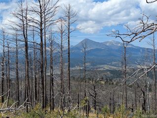 349 MacNaughton Drive, Fort Garland, CO 81133