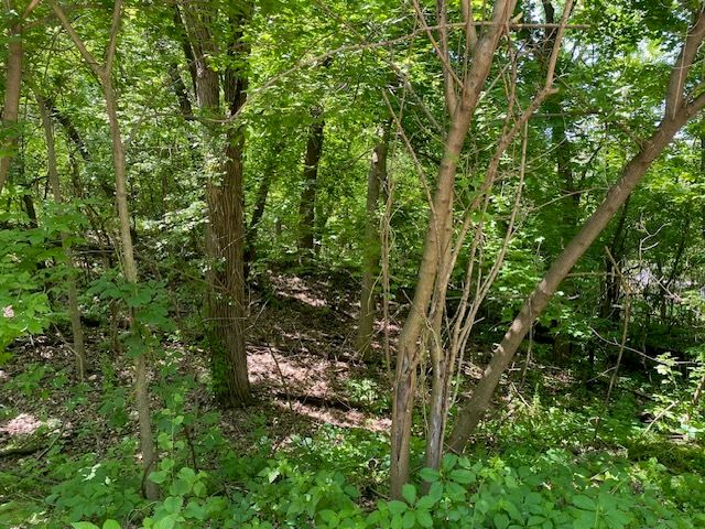 Lots 11 & 12 Ravine Drive, Spring Grove, IL 60081