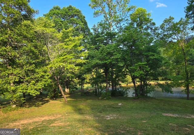 3800 Cutcane Road, Mineral Bluff, GA 30559