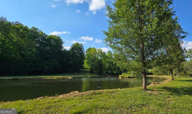 3800 Cutcane Road, Mineral Bluff, GA 30559