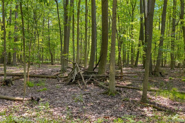 14721 Terry Road, Berlin Township, MI 48002