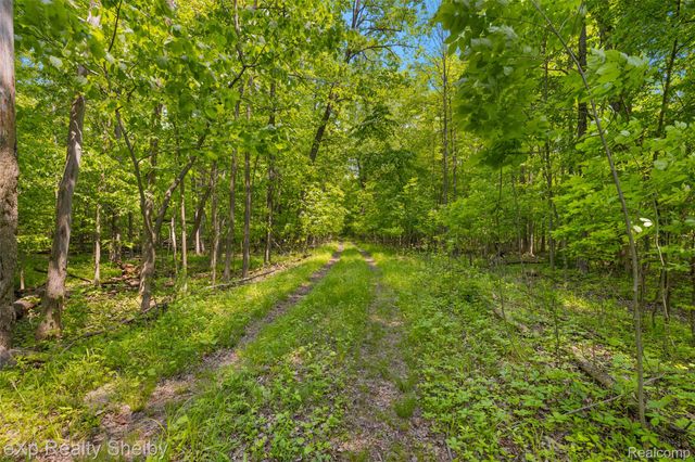 14721 Terry Road, Berlin Township, MI 48002
