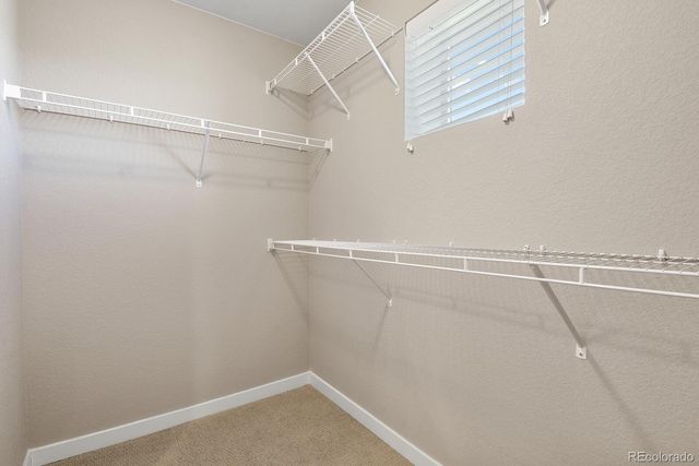 6843 Lily Mountain Lane, Colorado Springs, CO 80923