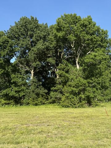 1988 Fayetteville Hwy, Belfast, TN 37019