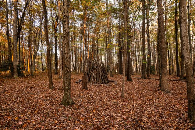 2272 Little Bend Rd, Signal Mountain, TN 37377