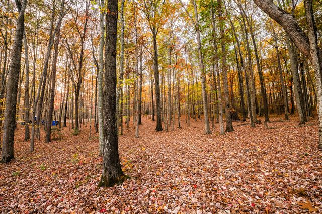 2272 Little Bend Rd, Signal Mountain, TN 37377