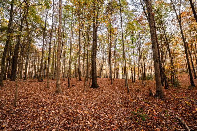2272 Little Bend Rd, Signal Mountain, TN 37377
