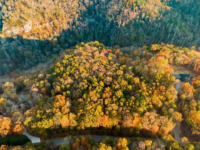 2272 Little Bend Rd, Signal Mountain, TN 37377