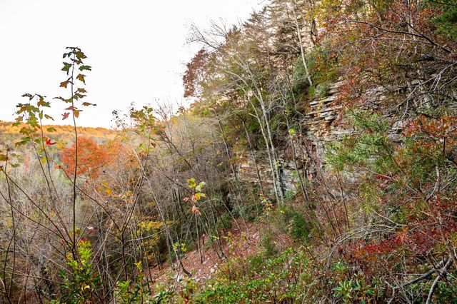 2272 Little Bend Rd, Signal Mountain, TN 37377