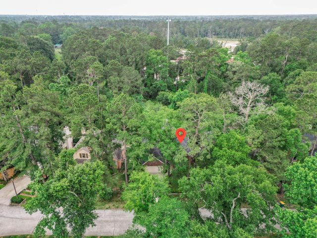 47 W Tallowberry Drive, The Woodlands, TX 77381