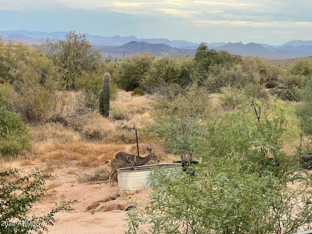 26630 N 162ND Street, Scottsdale, AZ 85262