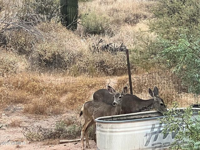 26630 N 162ND Street, Scottsdale, AZ 85262