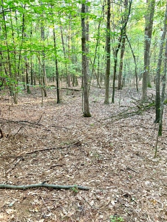 0 Archer Grove School Road Tract B, Athens, GA 30607