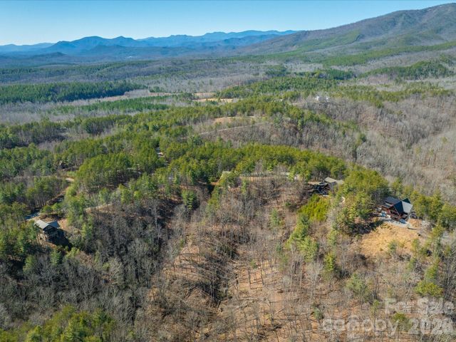 1016 Horizon Trail, Nebo, NC 28761