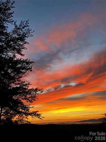 1016 Horizon Trail, Nebo, NC 28761