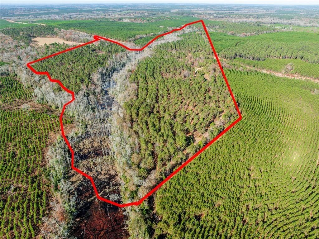 Image 1 of property listing at 0 N Indian Trail Road, Sandersville, GA 31082