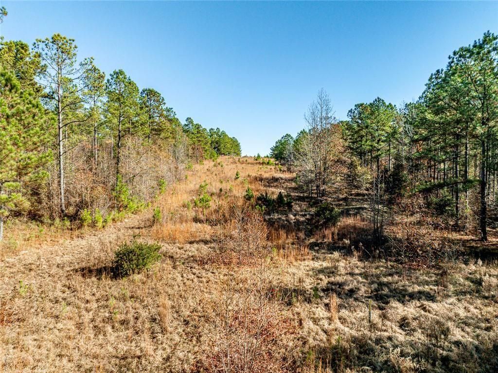 Image 11 of property listing at 0 N Indian Trail Road, Sandersville, GA 31082