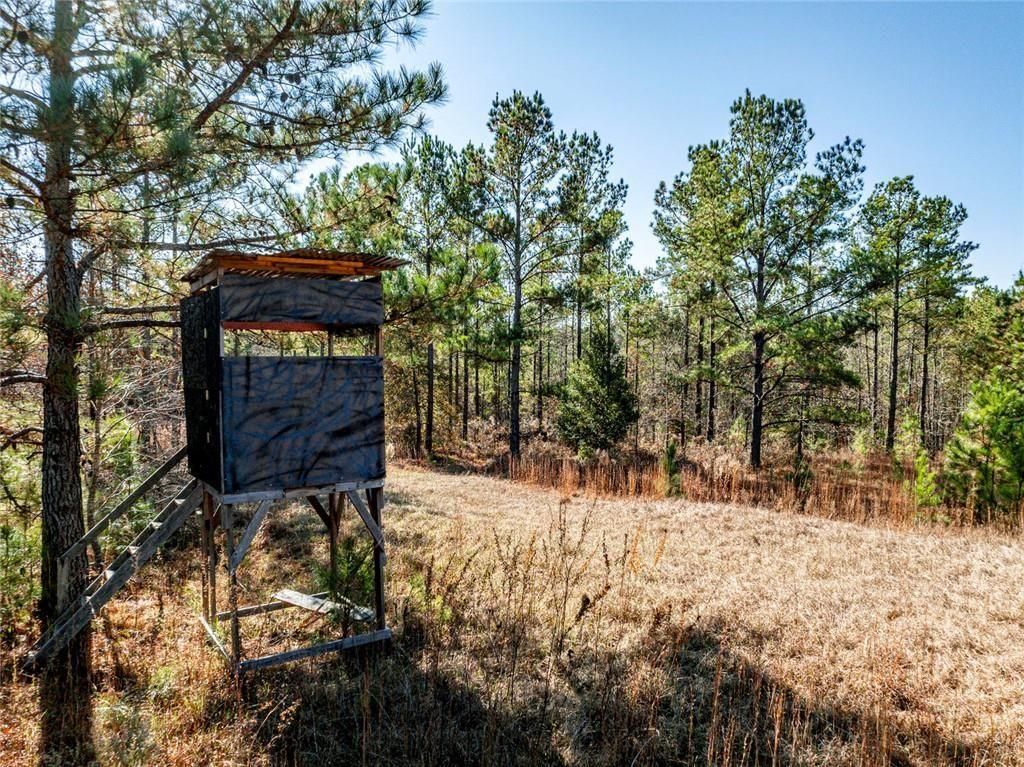 Image 13 of property listing at 0 N Indian Trail Road, Sandersville, GA 31082