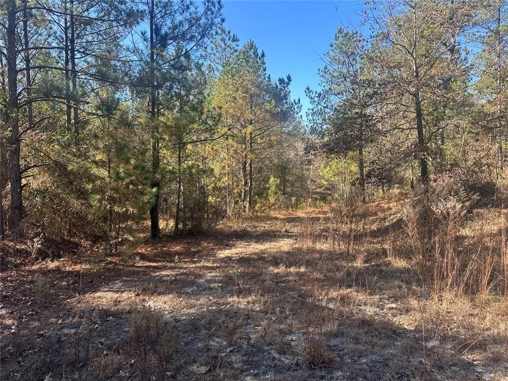 Image 14 of property listing at 0 N Indian Trail Road, Sandersville, GA 31082