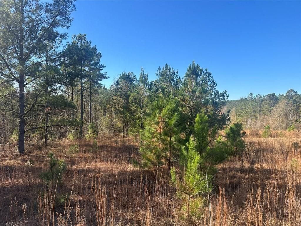 Image 15 of property listing at 0 N Indian Trail Road, Sandersville, GA 31082