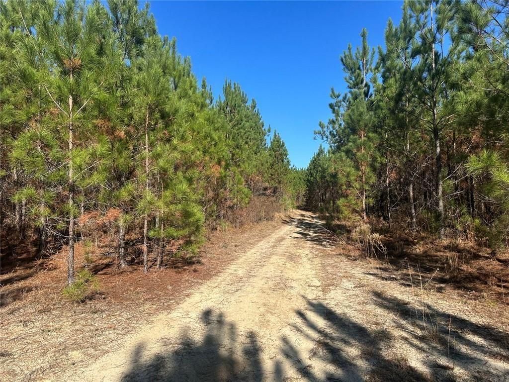 Image 16 of property listing at 0 N Indian Trail Road, Sandersville, GA 31082
