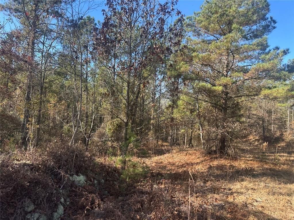 Image 17 of property listing at 0 N Indian Trail Road, Sandersville, GA 31082