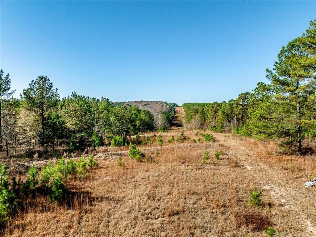 Image 18 of property listing at 0 N Indian Trail Road, Sandersville, GA 31082