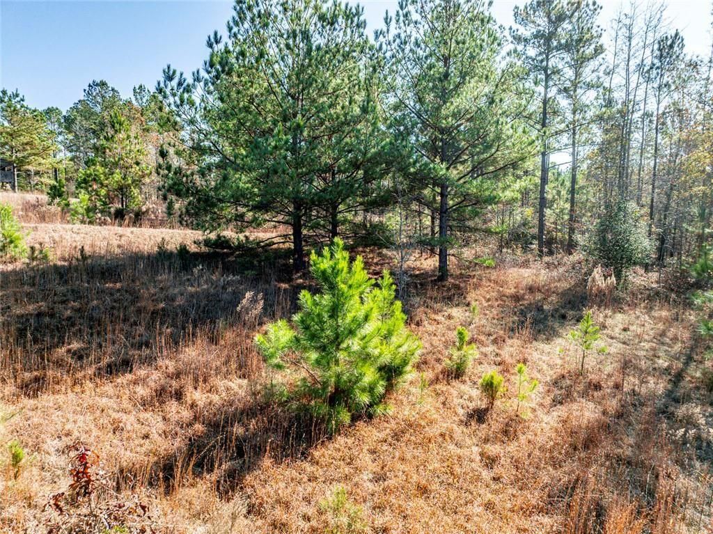 Image 19 of property listing at 0 N Indian Trail Road, Sandersville, GA 31082