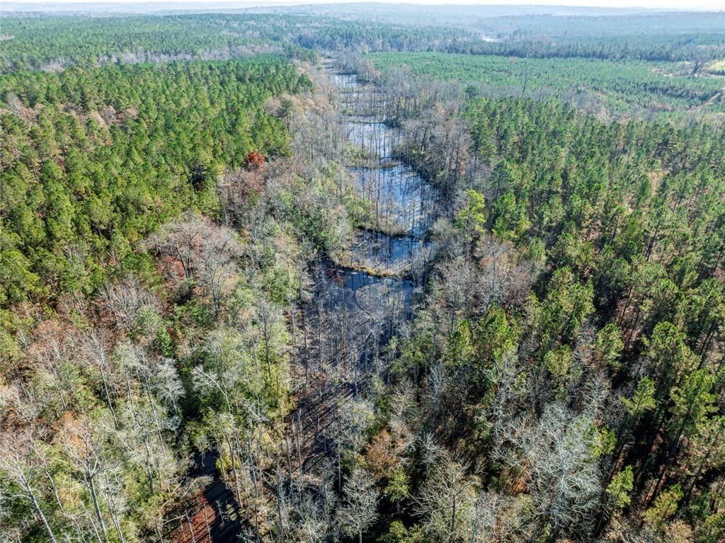 Image 21 of property listing at 0 N Indian Trail Road, Sandersville, GA 31082