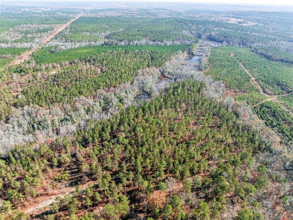 Image 23 of property listing at 0 N Indian Trail Road, Sandersville, GA 31082