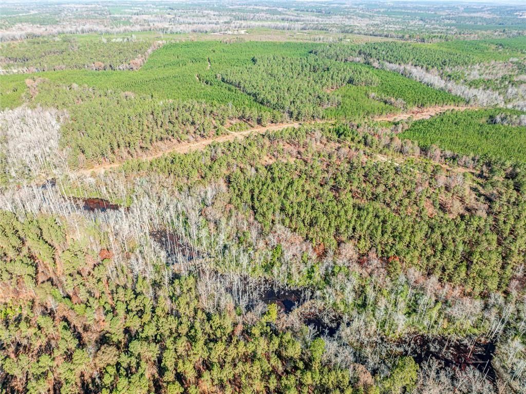 Image 24 of property listing at 0 N Indian Trail Road, Sandersville, GA 31082